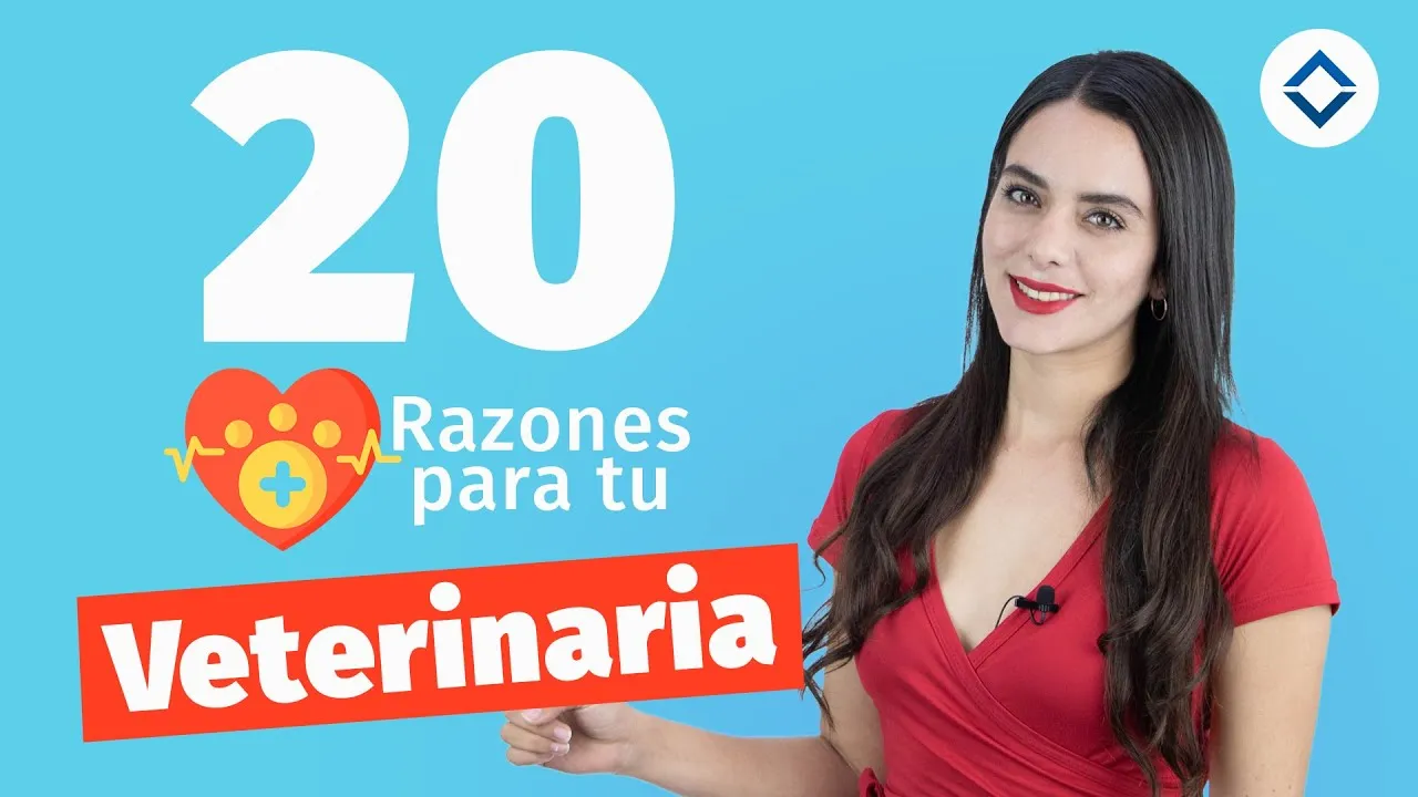 20 razones para tu veterinaria