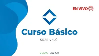 Curso básico