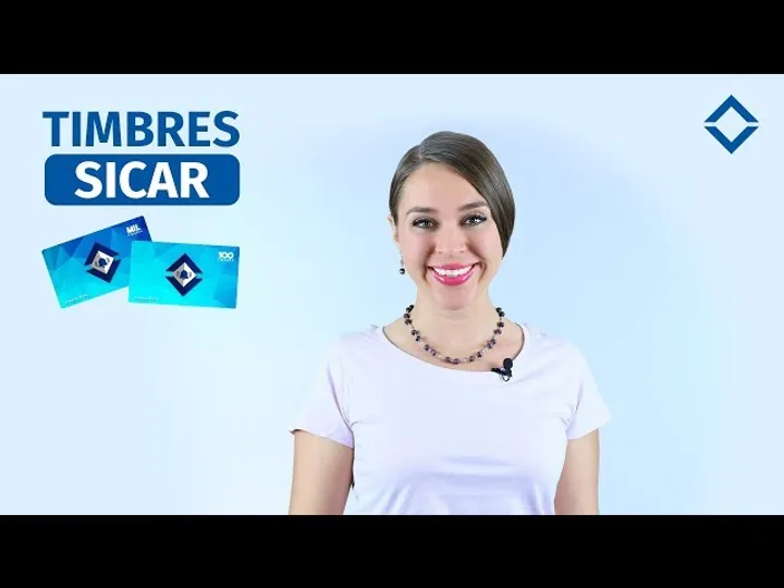 Guía de Facturación Electrónica