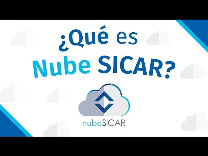 ¿Qué es el sistema de sucursales?