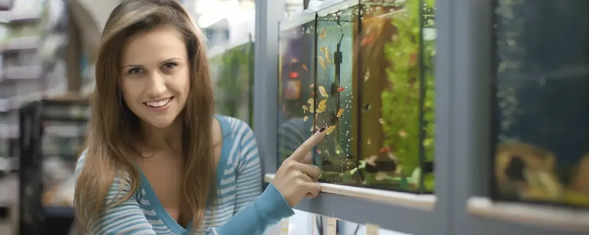 Sistema para veterinarias